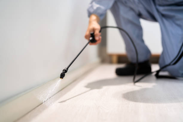Certified termite inspector examining foundation in Cleveland